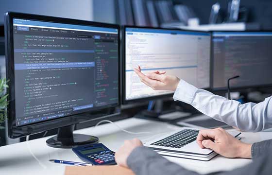 システムエンジニアリングサービス（SES）